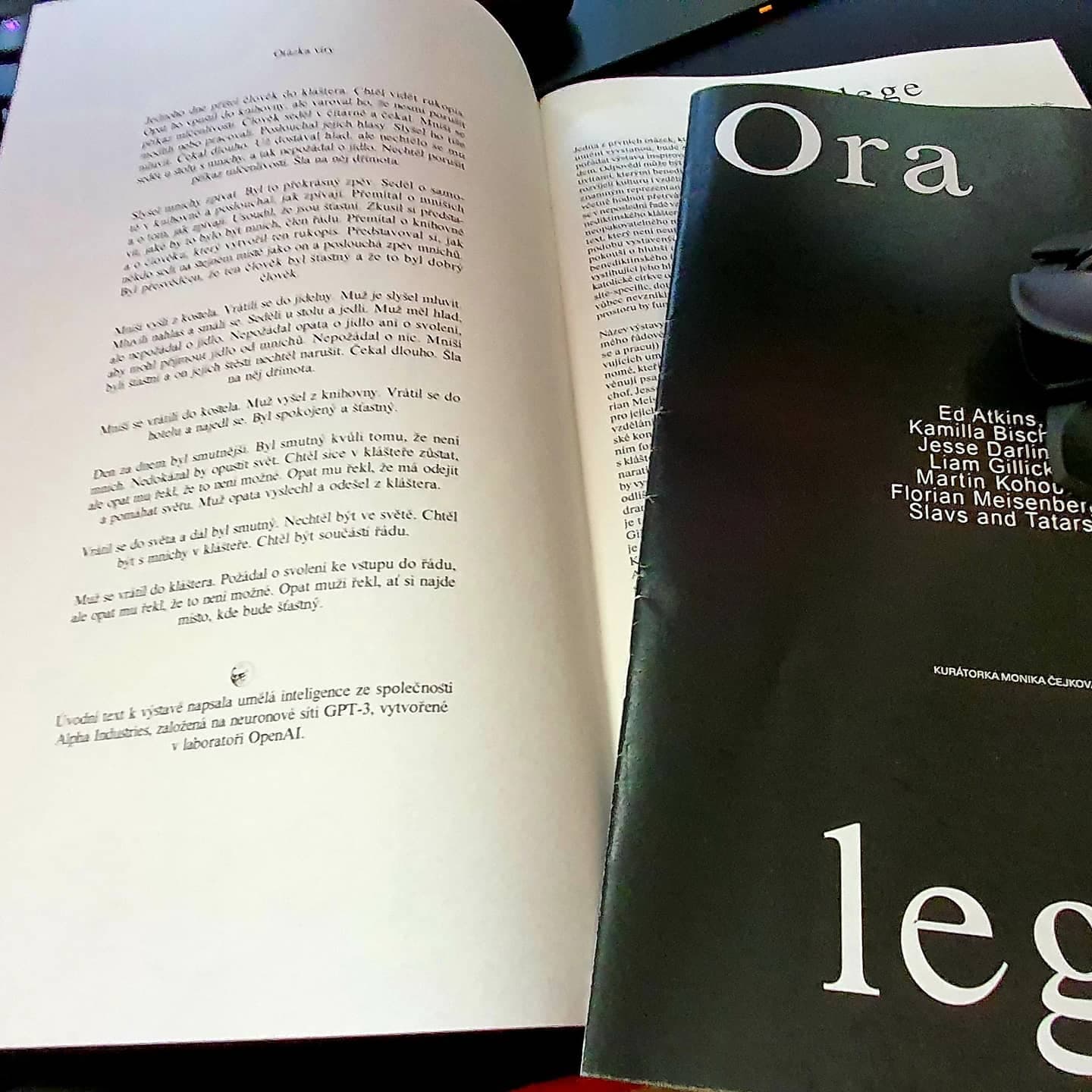 Včera jsem byl na pozoruhodné vernisáži současného umění "Ora et lege". S Ditou …