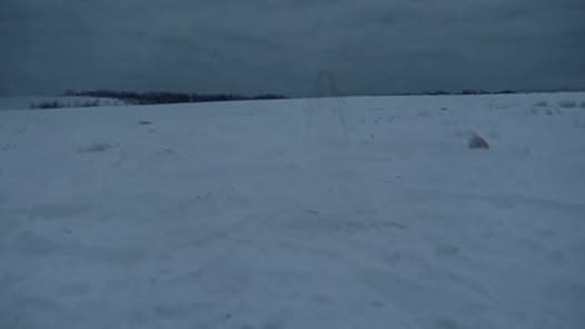 ✨❄️ Februarballade – KI auf den Spuren Erbens! ❄️✨