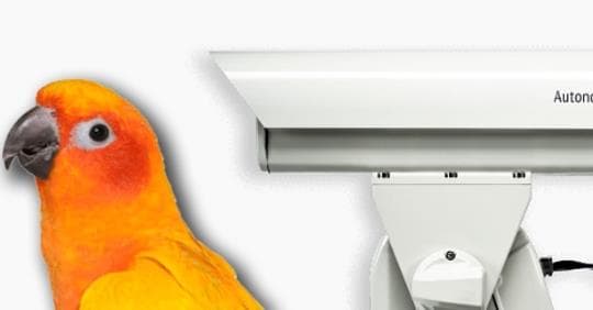 Die Niederländer haben eine Laserkanone gegen Vögel erfunden. Sie wird von künstlicher Intelligenz gesteuert