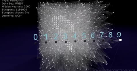 Wunderbare 3D-Simulation neuronaler Netzwerke