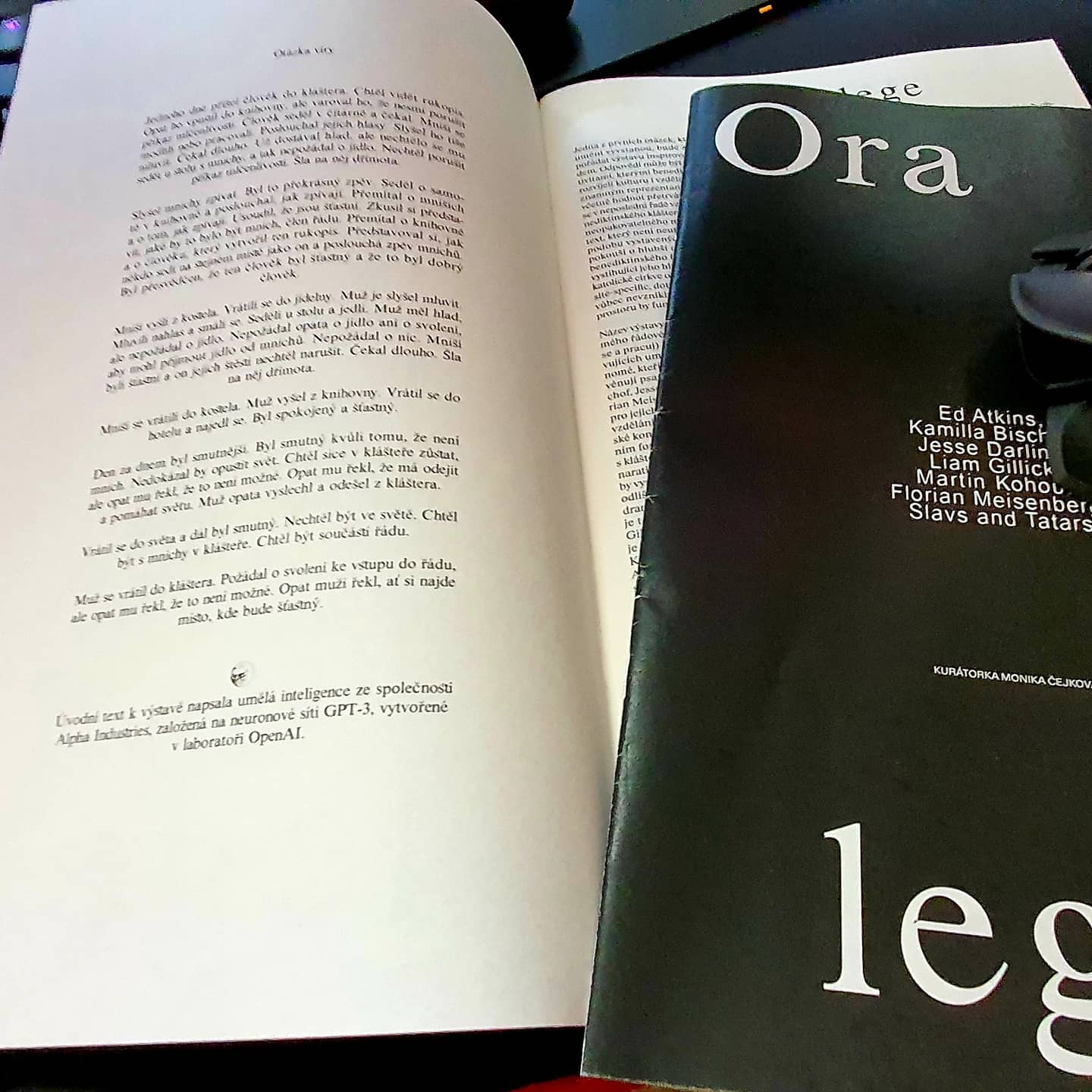 Včera jsem byl na pozoruhodné vernisáži současného umění "Ora et lege". S Ditou …