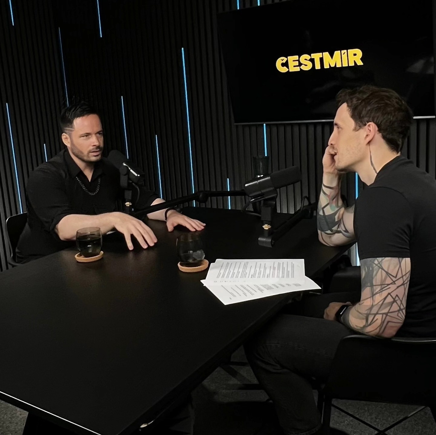 🎙️ I was a guest on Čestmír Strakatý's podcast.
