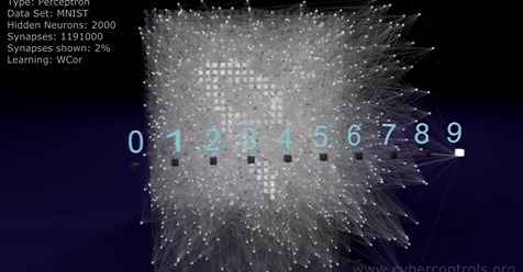 Amazing 3D Simulation of Neural Networks
