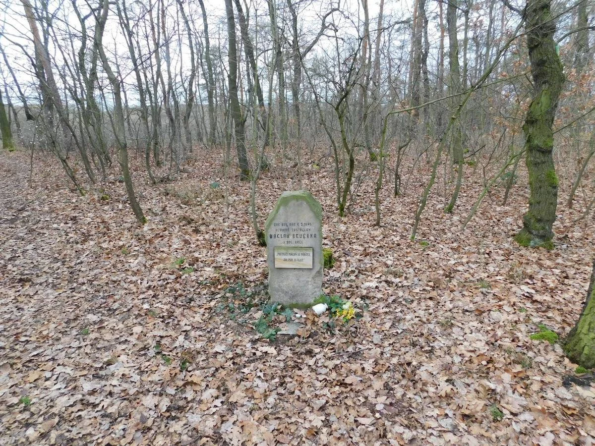 Pomníček Václava Veverky v lesním svahu